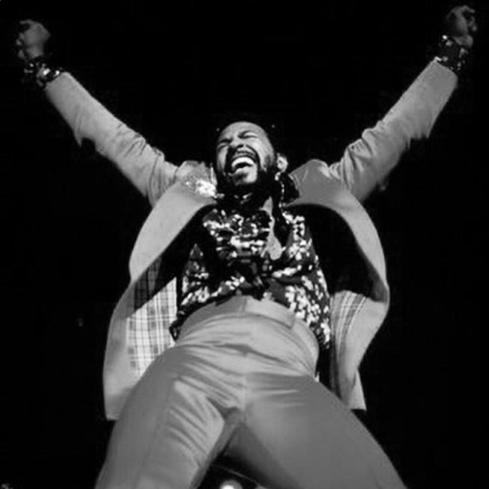 Meet your Posher, Giselle